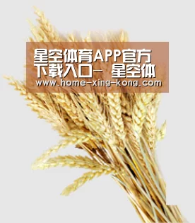 星空体育APP官方下载入口- 星空体育