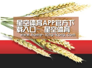 星空体育APP官方下载入口- 星空体育